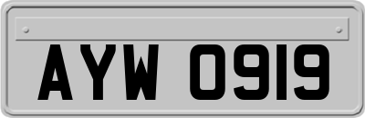 AYW0919