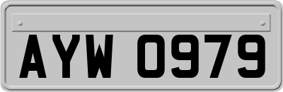 AYW0979