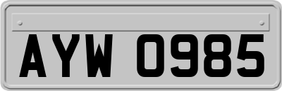 AYW0985
