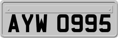AYW0995