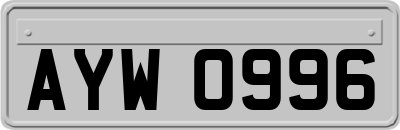 AYW0996