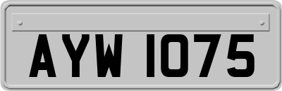 AYW1075