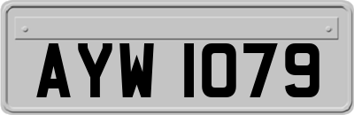 AYW1079