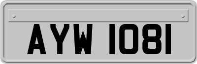 AYW1081