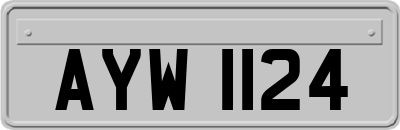 AYW1124