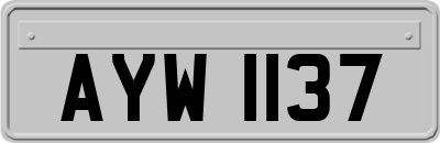 AYW1137