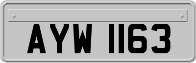 AYW1163