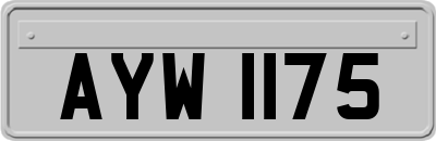 AYW1175