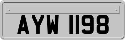 AYW1198