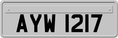 AYW1217