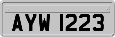 AYW1223