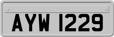 AYW1229