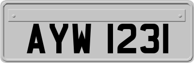 AYW1231