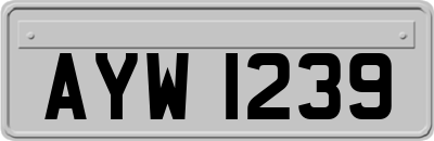 AYW1239