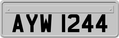 AYW1244