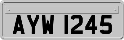 AYW1245