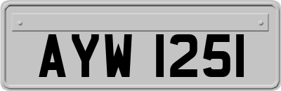 AYW1251