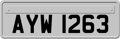 AYW1263
