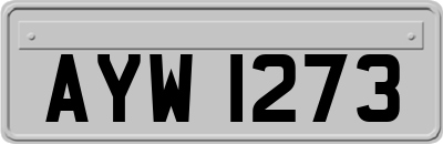AYW1273
