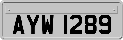 AYW1289