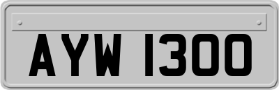 AYW1300