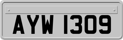 AYW1309