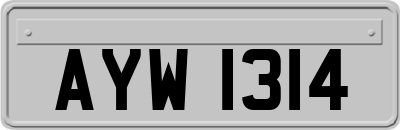AYW1314
