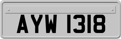 AYW1318