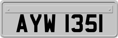 AYW1351