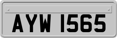 AYW1565