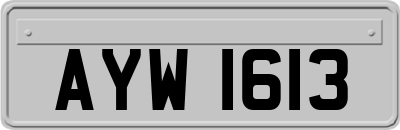 AYW1613