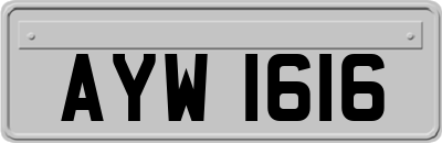 AYW1616