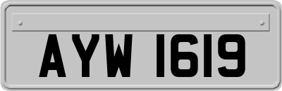 AYW1619