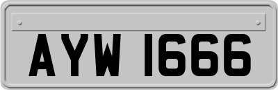 AYW1666