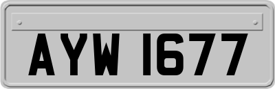 AYW1677