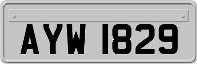 AYW1829