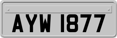 AYW1877