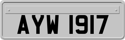 AYW1917