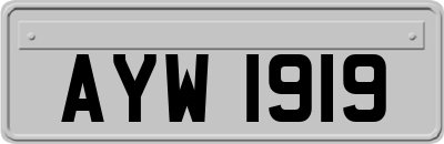 AYW1919