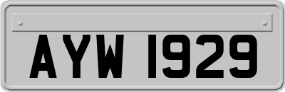 AYW1929