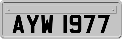 AYW1977