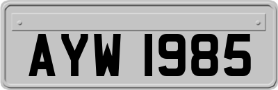 AYW1985