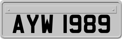 AYW1989