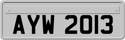 AYW2013