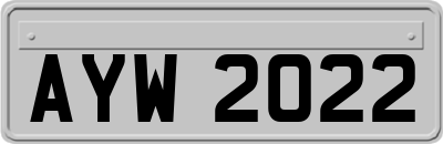 AYW2022