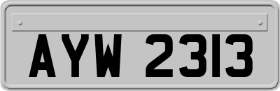 AYW2313