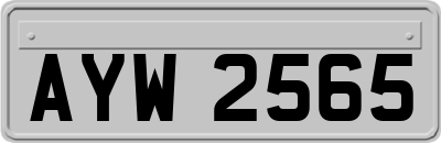 AYW2565