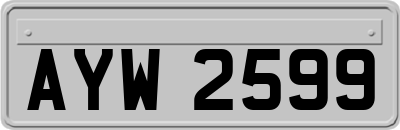 AYW2599