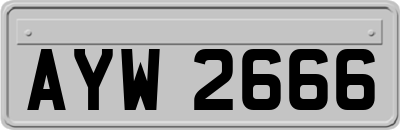AYW2666