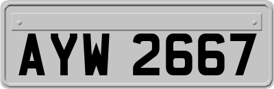 AYW2667